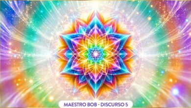 La armonía en los sentimientos - Maestro Bob
